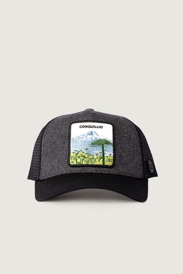 Jockey Conguillio Lana Gris