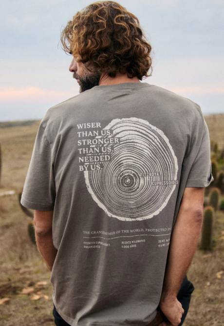 Poleras Hombre