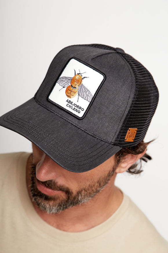 Jockey Abejorro Orgánico Negro Lavado