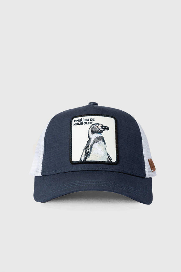 Jockey Pingüino de Humboldt Ripstop Algodón Orgánico Azul | Wild Lama