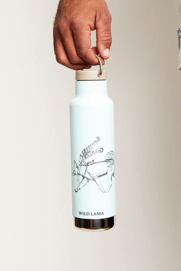 Botella Insulated Reciclada Zorro Celeste x Klean Kanteen