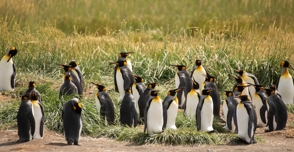 Captura de pantalla 2023 11 14 a la s 11