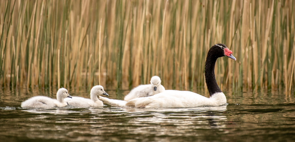 Captura de pantalla 2023 11 14 a la s 11
