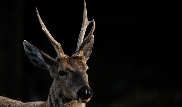 Captura de pantalla 2023 11 14 a la s 11