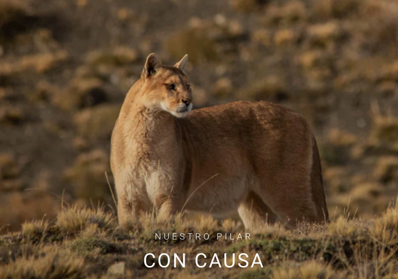 Captura de pantalla 2023 12 04 a la s 12