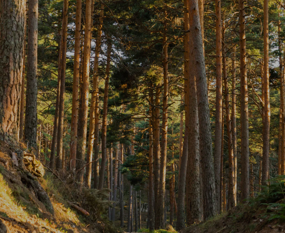 Captura de pantalla 2023 12 12 a la s 09