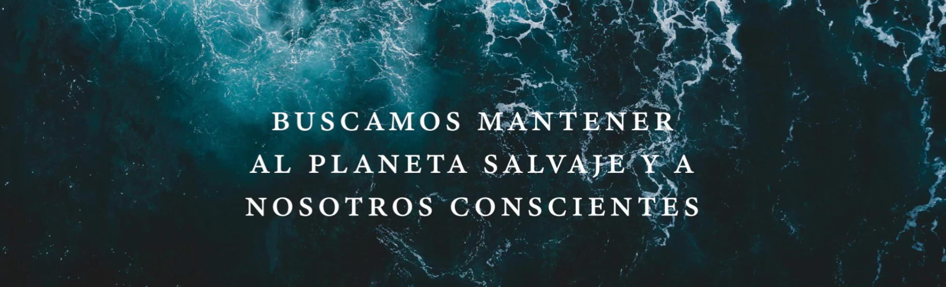 Captura de pantalla 2025 02 20 a la s 16