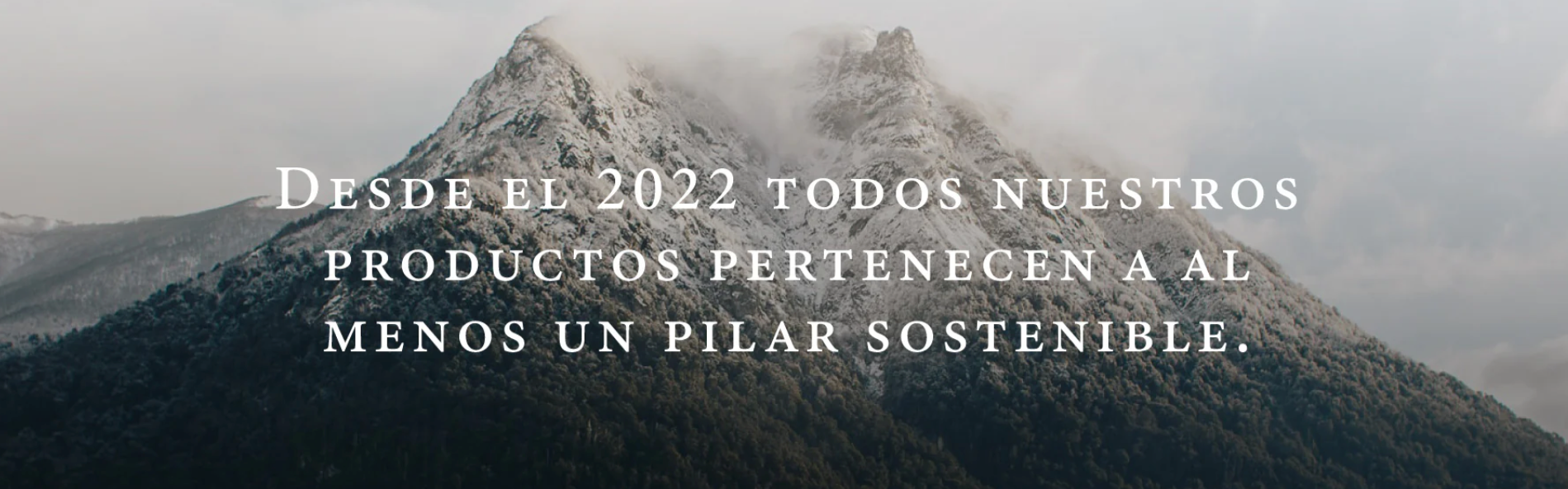 Captura de pantalla 2025 02 20 a la s 16