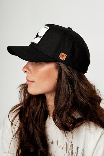 Jockey Animal Eos Orgánico Negro - 0