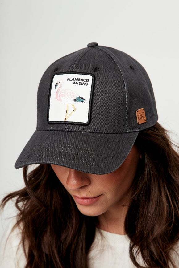 Jockey Animal Genovesa Orgánico Negro