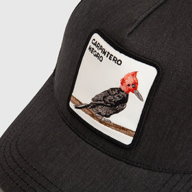 Jockey Carpintero Orgánico Negro Lavado - 0