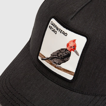 Jockey Carpintero Orgánico Negro Lavado - 0