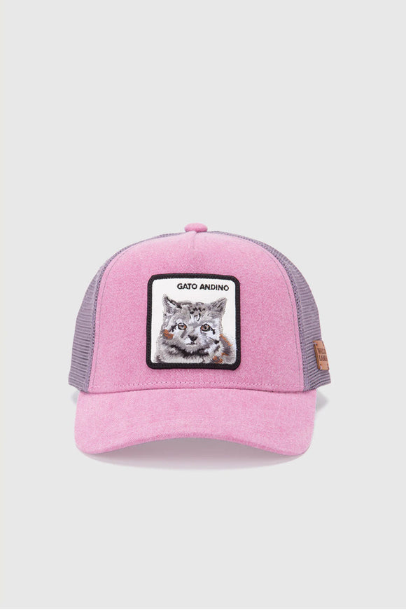 Jockey Kids Gato Andino Orgánico Rosado Lavado