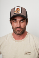 Jockey Puma Orgánico Café Lana-6