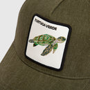 Jockey Tortuga Orgánico Verde Militar Lavado-9