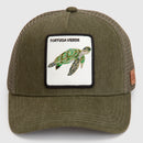 Jockey Tortuga Orgánico Verde Militar Lavado-6