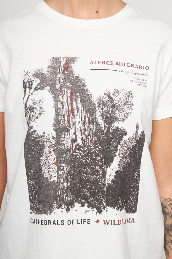 Polera Mira Orgánica Blanca Mujer
