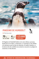 Jockey Pingüino de Humboldt Ripstop Algodón Orgánico Azul | Wild Lama