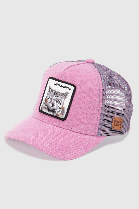 Jockey Kids Gato Andino Orgánico Rosado Lavado