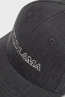 Jockey Logo Orgánico Negro Lavado-4