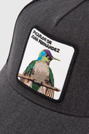 Jockey Picaflor Orgánico Negro Lavado Espiga-10