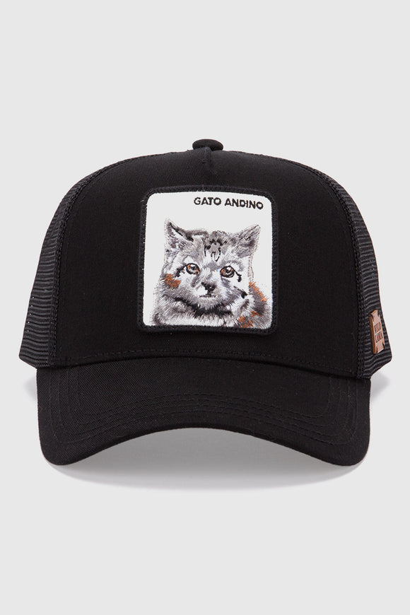 Jockey Gato Andino Orgánico Negro