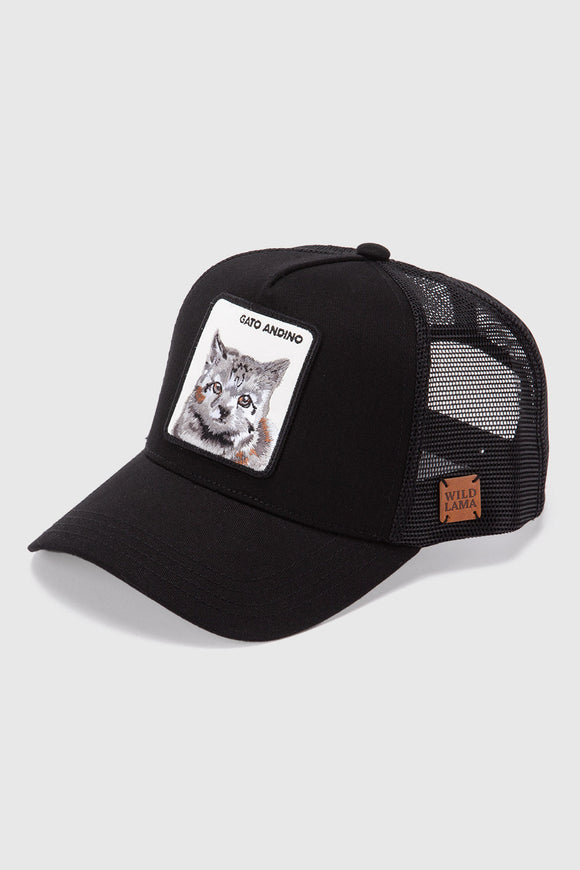 Jockey Gato Andino Orgánico Negro