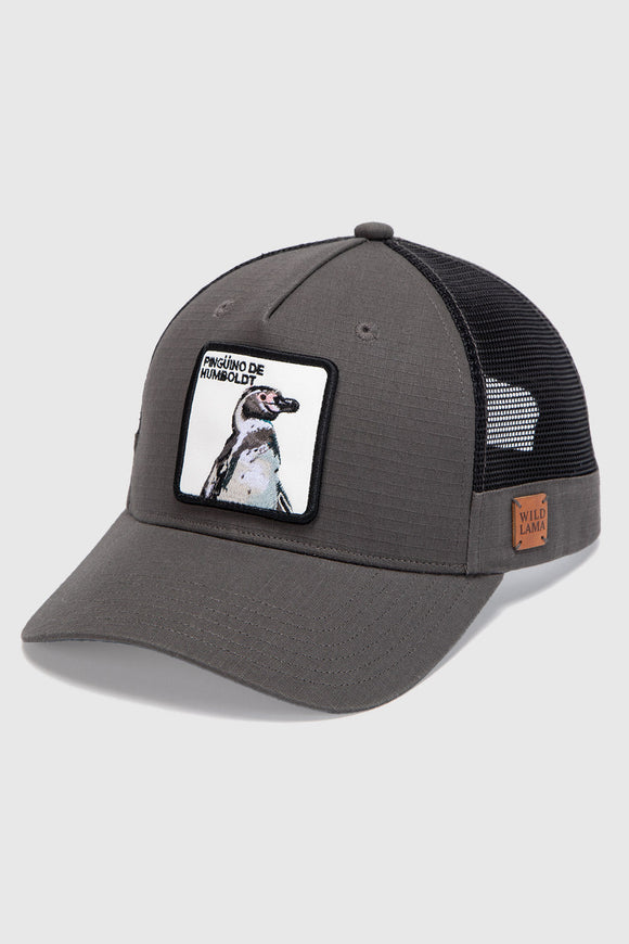 Jockey Pingüino Organico Marengo Ripstop