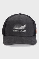 Jockey Anuk Organico Negro-1