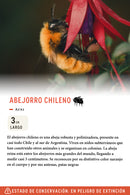 Jockey Abejorro Chileno Lino Gris | Wild Lama