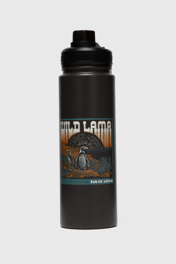 Botella Noa Reciclada Negra Print Pingüino