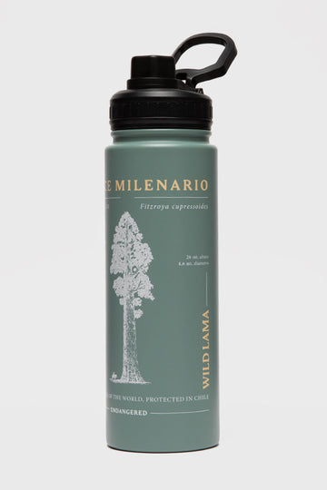 Botella Noa Reciclada Aqua Print Arbol