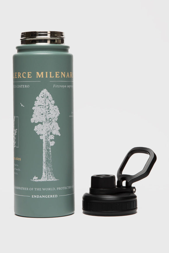 Botella Noa Reciclada Aqua Print Arbol