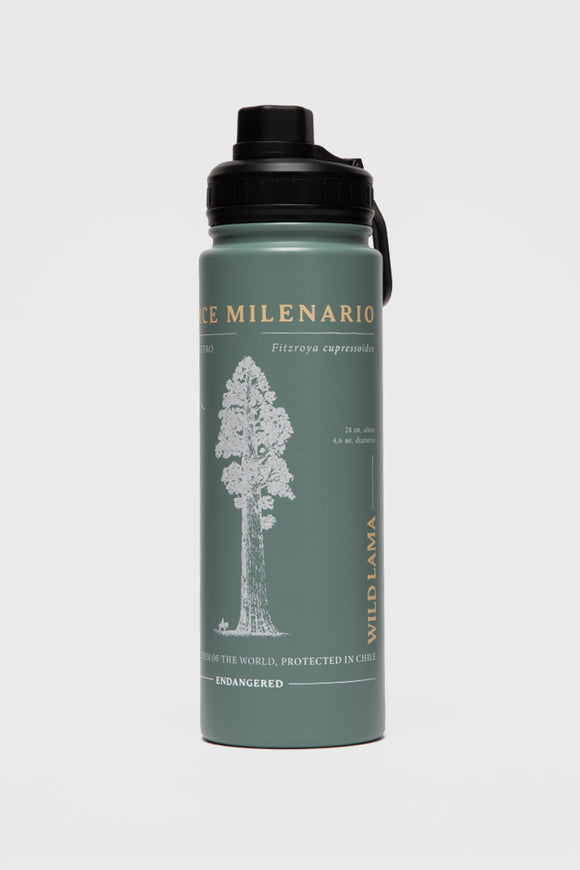 Botella Noa Reciclada Aqua Print Arbol