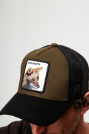 Jockey Zorro Orgánico Verde Lana-5