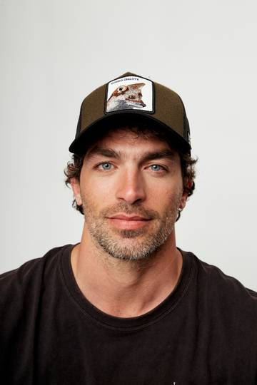 Jockey Zorro Orgánico Verde Lana