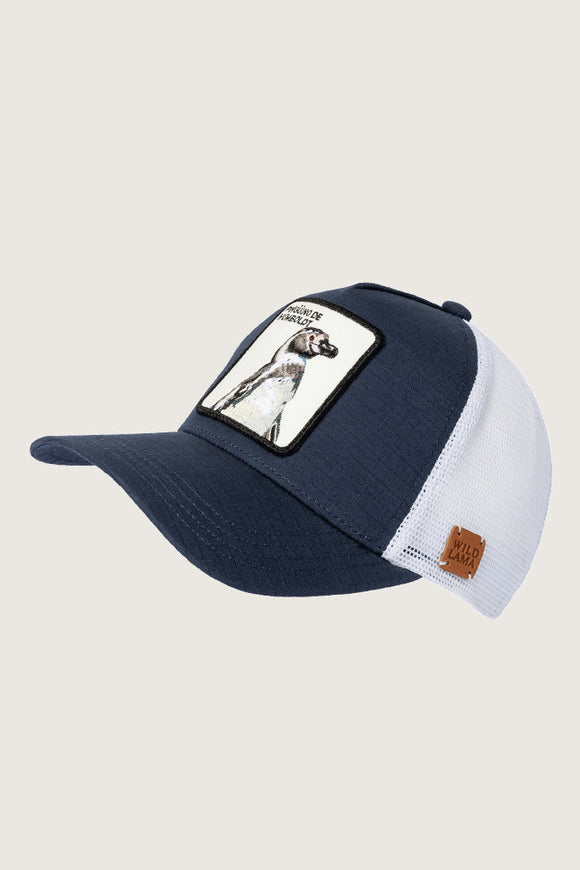 Jockey Pingüino de Humboldt Ripstop Algodón Orgánico Azul | Wild Lama