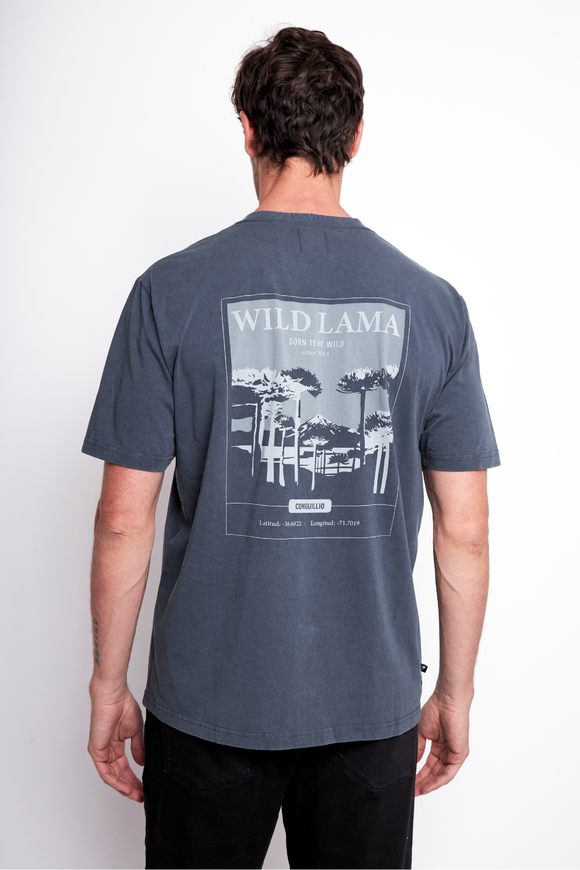 Polera Karu Orgánica Gris Hombre