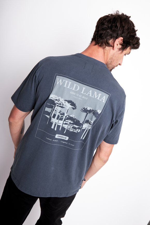 Polera Karu Orgánica Gris Hombre