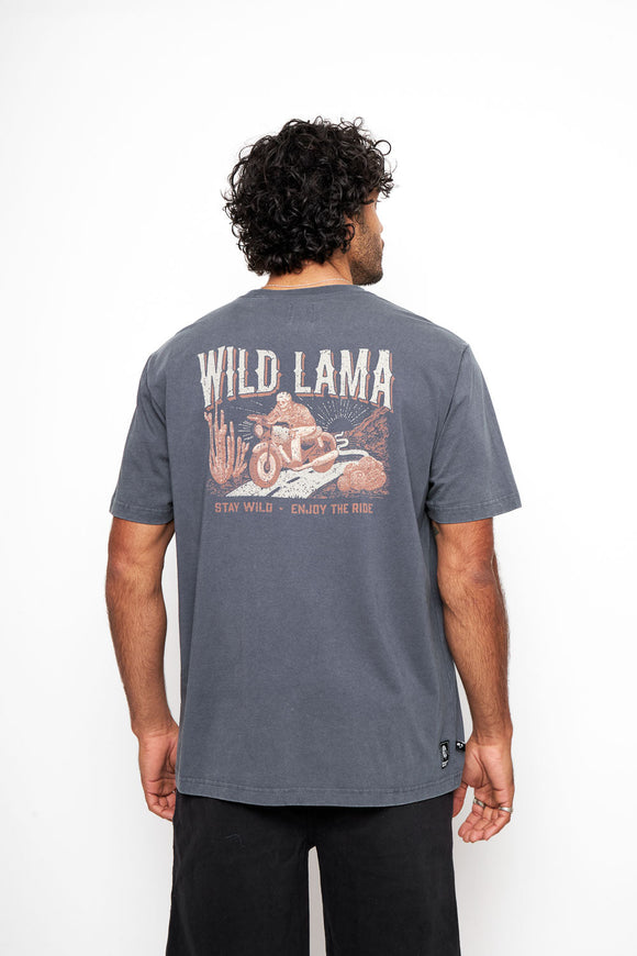 Polera Rolan Orgánica Azul hombre