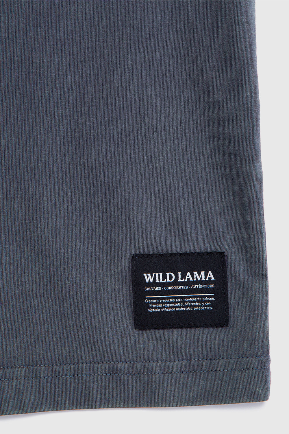 Polera Rolan Orgánica Azul hombre