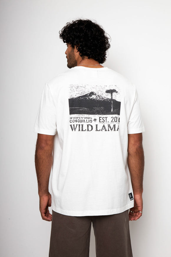 Polera Rolan Orgánica Blanca Hombre