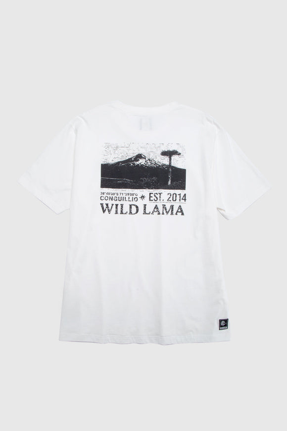 Polera Rolan Orgánica Blanca Hombre