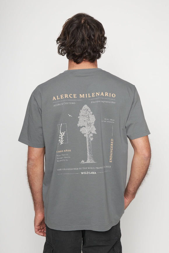 Polera Rolan Orgánica Verde Hombre