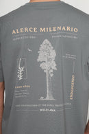 Polera Rolan Orgánica Verde Hombre-6