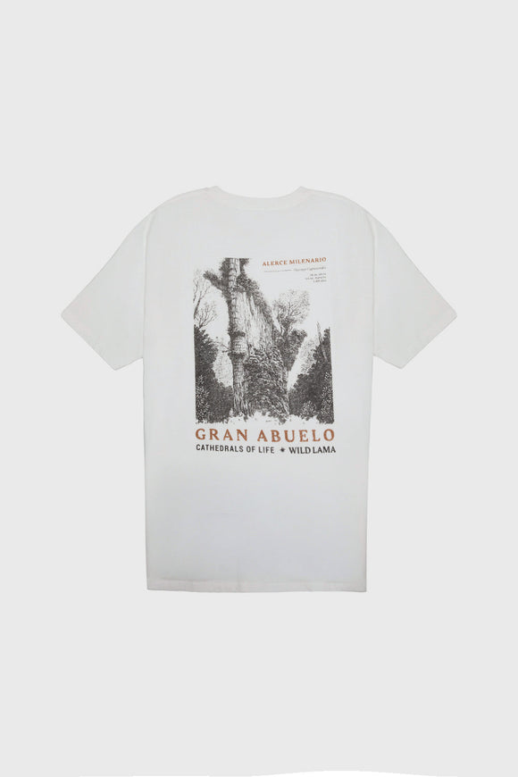 Polera Rolan Orgánica Blanca Hombre