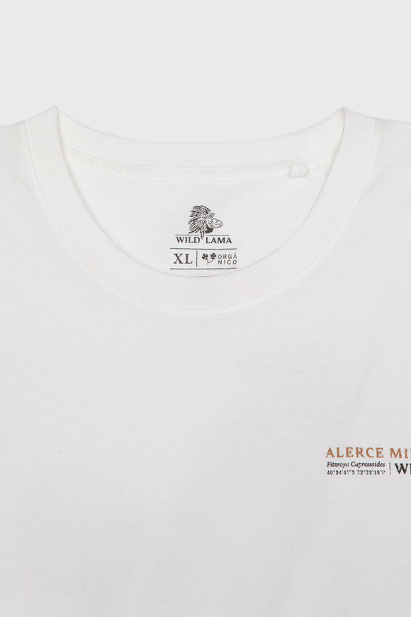 Polera Rolan Orgánica Blanca Hombre