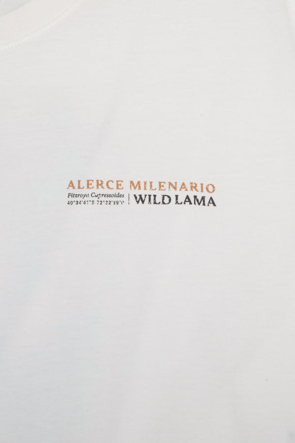 Polera Rolan Orgánica Blanca Hombre