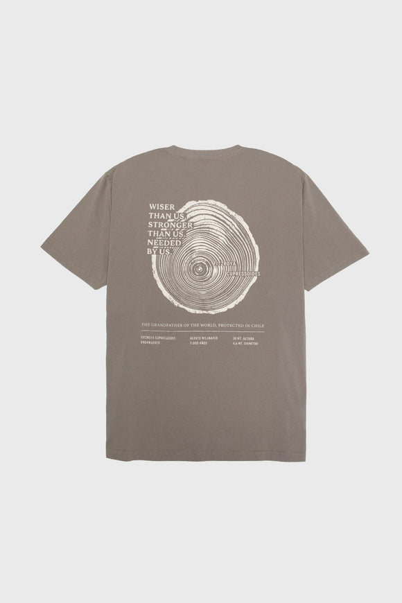 Polera Rolan Orgánica Café Hombre