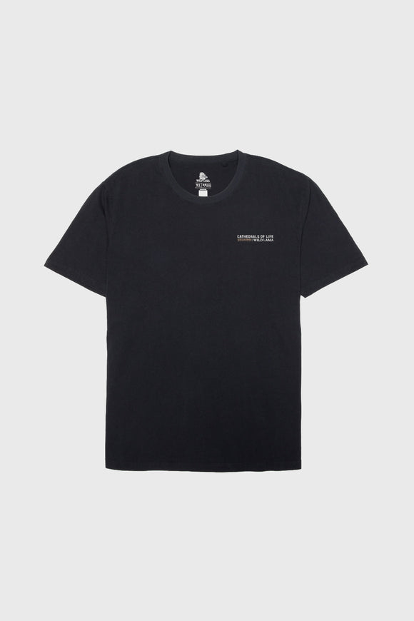Polera Rolan Orgánica Negra Hombre